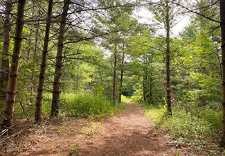 North Potter's Creek Conservation Area